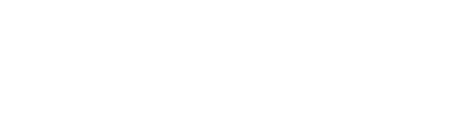 bricksave-logo-footer